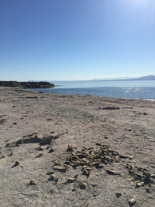 Salton Sea Area - 2015-2020 Photos (newer photo)